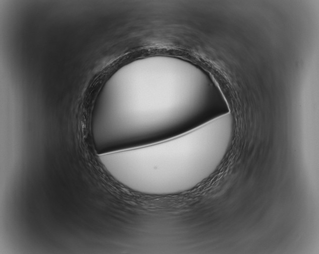 X0000098131303200804171051