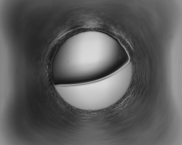 X0000098131304200804171051