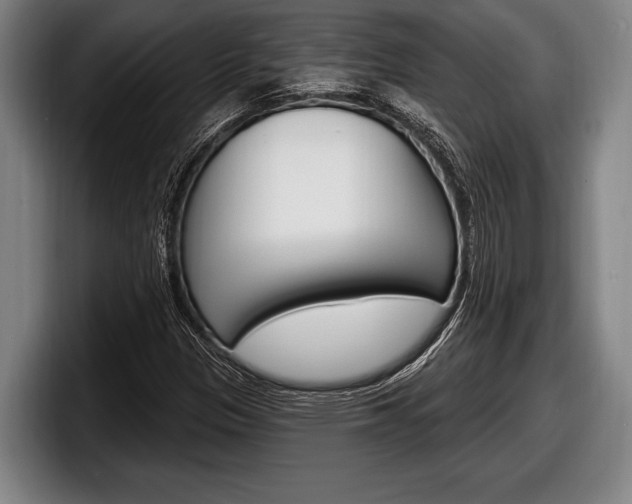 X0000098131305200804171051