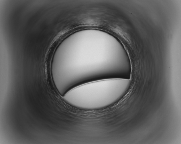 X0000098131307200804171051