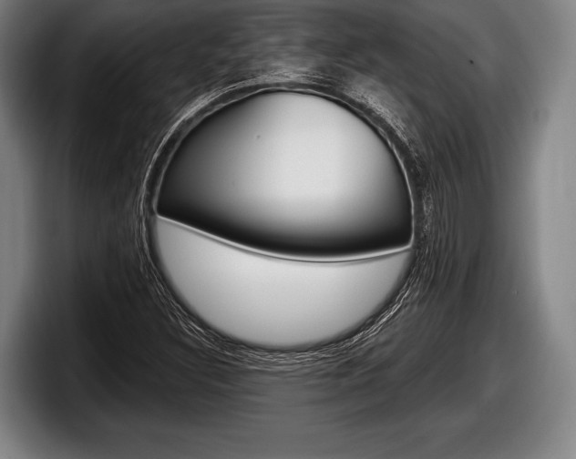 X0000098131308200804171051