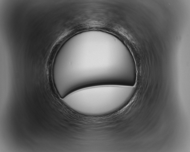 X0000098131309200804171051