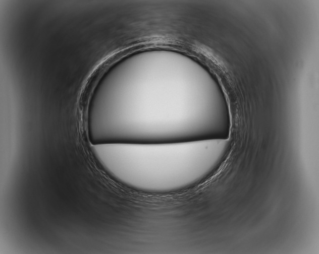 X0000098131310200804171051