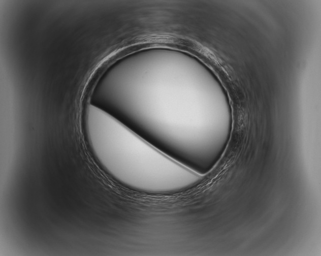 X0000098131312200804171051