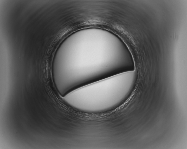 X0000098131313200804171051