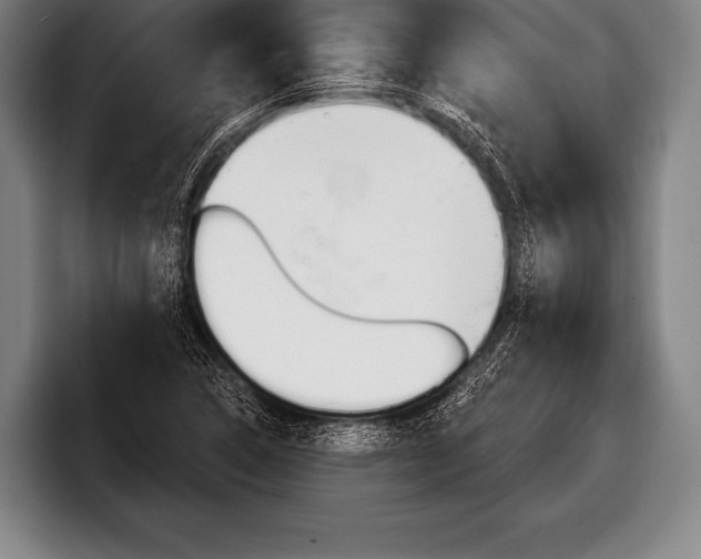 X0000098131314200804171051