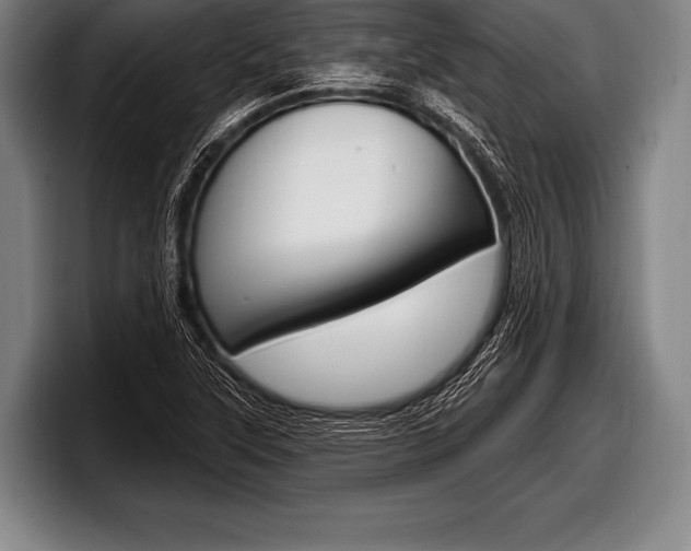 X0000098131315200804171051