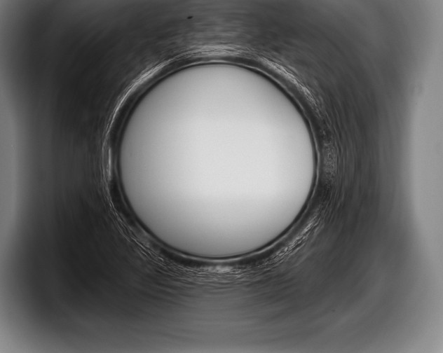 X0000098131317200804171051