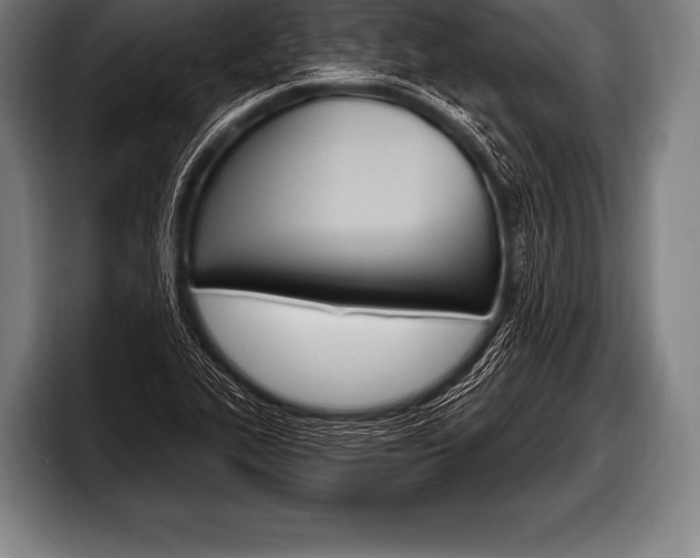 X0000098131319200804171051