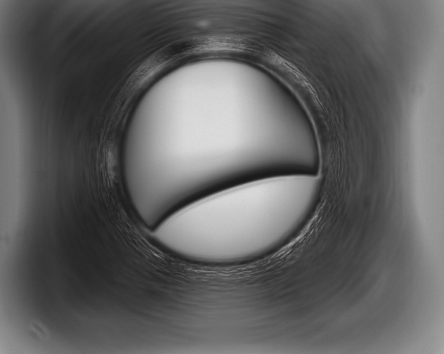 X0000098131321200804171051