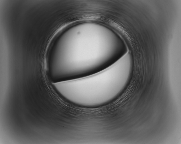 X0000098131324200804171051