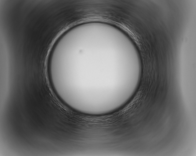 X0000098131326200804171051
