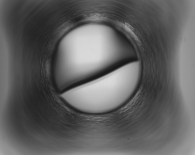 X0000098131329200804171051