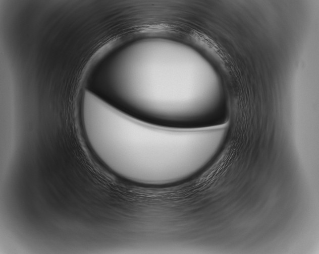 X0000098131330200804171051