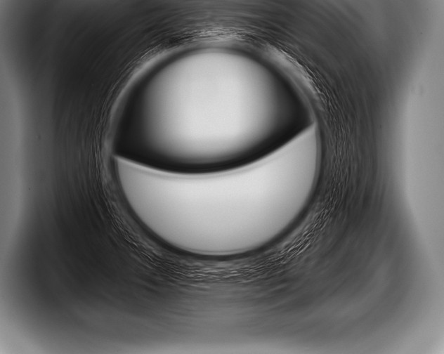 X0000098131332200804171051
