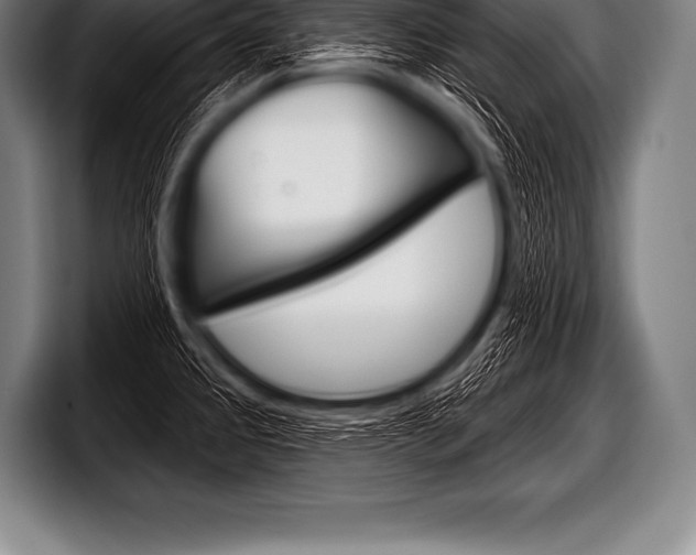 X0000098131333200804171051