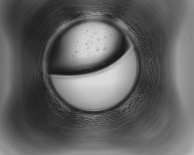 X0000098131334200804171051