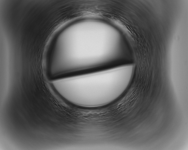 X0000098131335200804171051