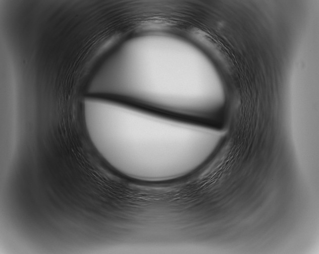 X0000098131337200804171051