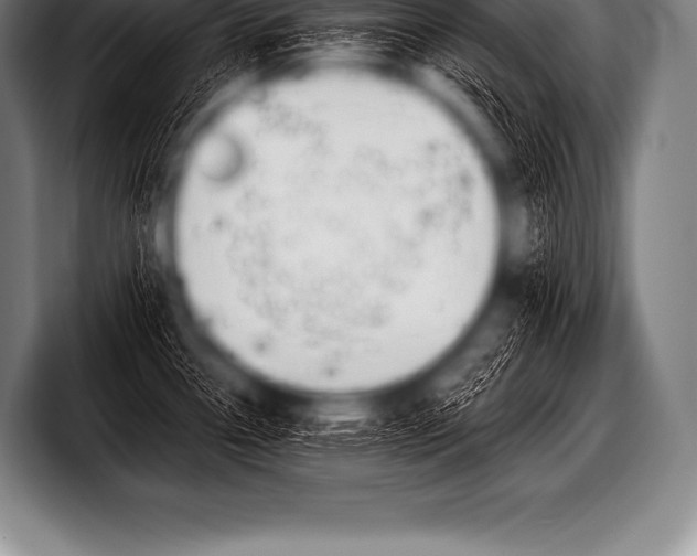 X0000098131338200804171051