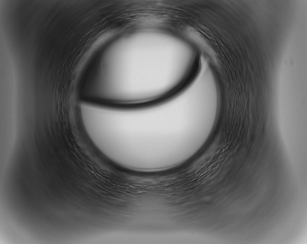 X0000098131340200804171051
