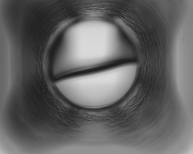 X0000098131341200804171051