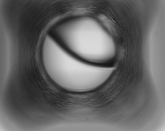 X0000098131342200804171051