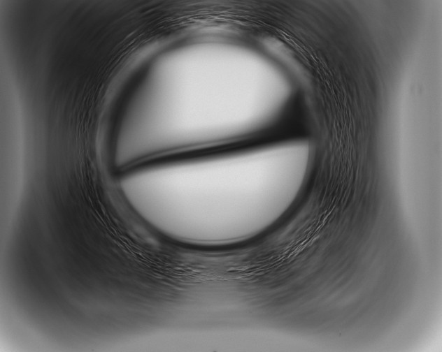 X0000098131343200804171051