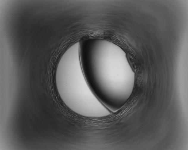 X0000098131345200804171051