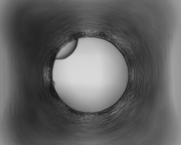 X0000098131346200804171051