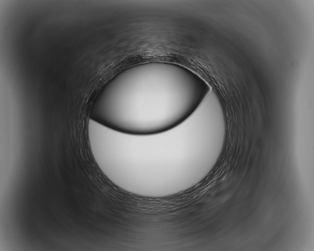X0000098131348200804171050