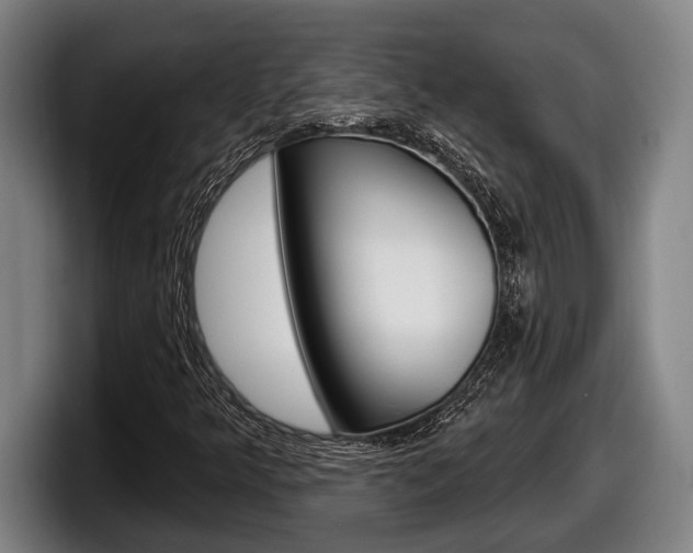 X0000098131349200804171050