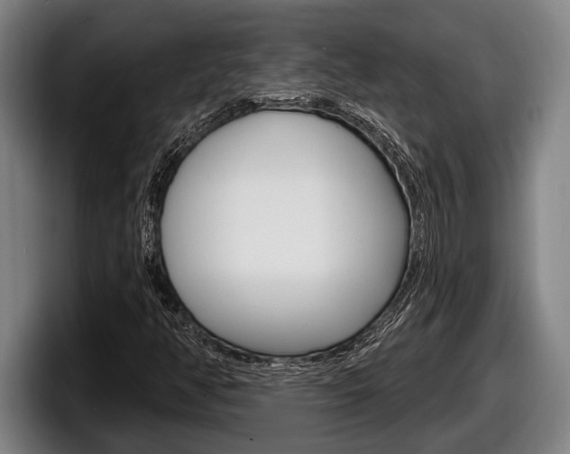 X0000098131350200804171050
