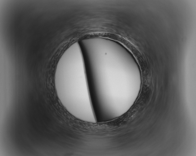X0000098131351200804171050