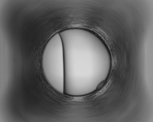 X0000098131353200804171050