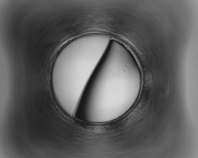 X0000098131355200804171050
