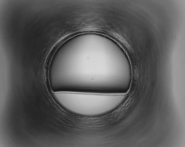 X0000098131356200804171050