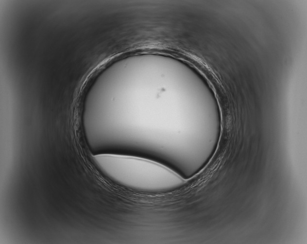 X0000098131359200804171050