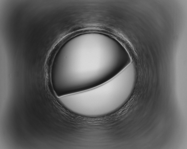 X0000098131360200804171050