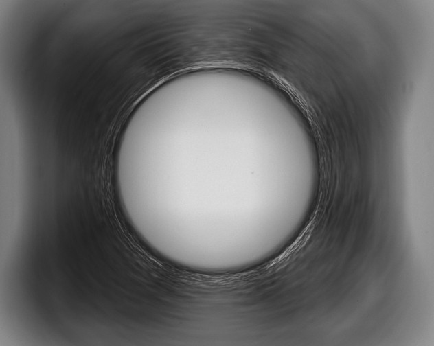 X0000098131361200804171050