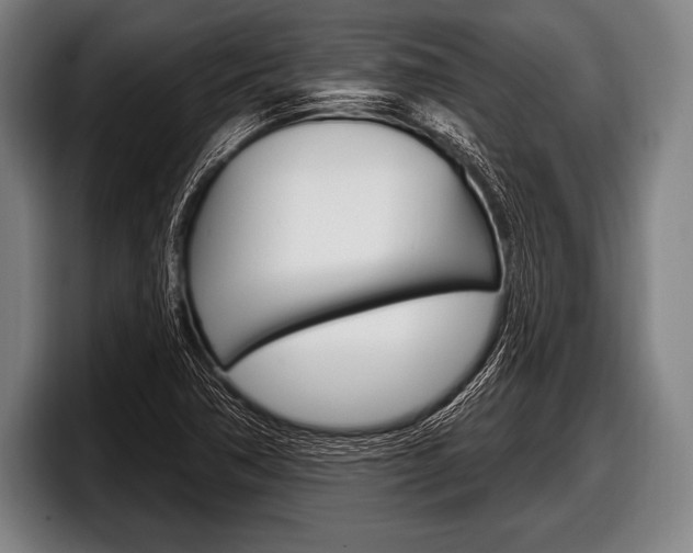 X0000098131362200804171050