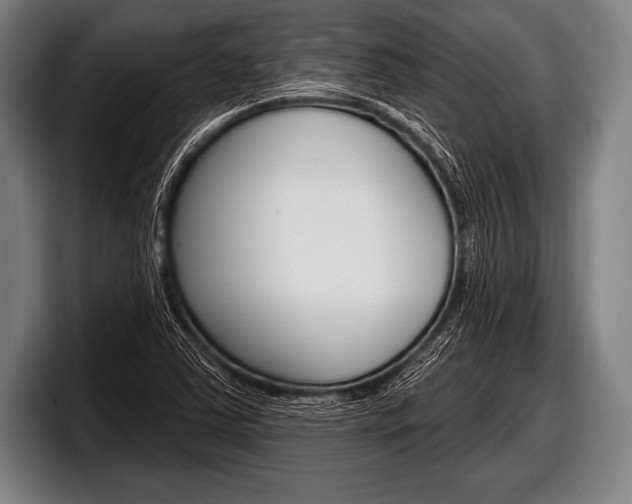 X0000098131363200804171050