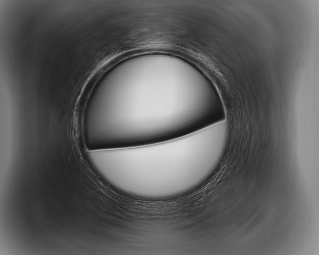 X0000098131364200804171050