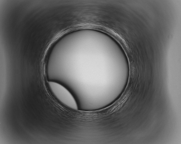 X0000098131365200804171050