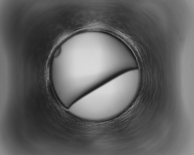 X0000098131366200804171050