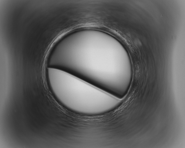 X0000098131367200804171050