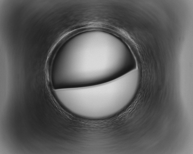 X0000098131368200804171050