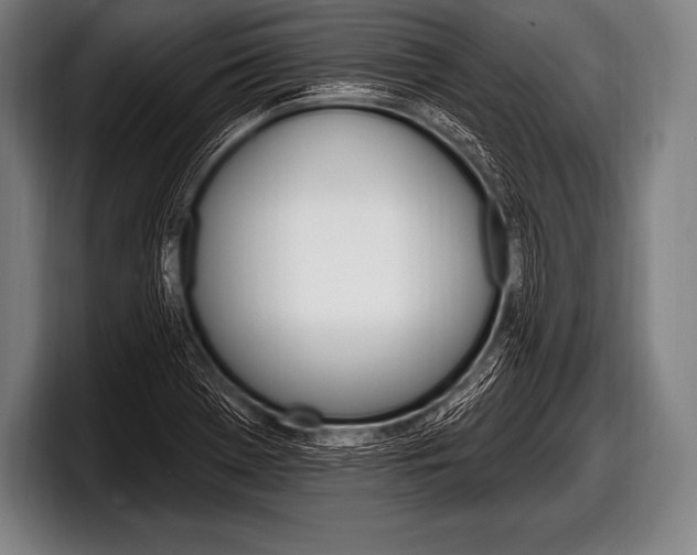 X0000098131369200804171050