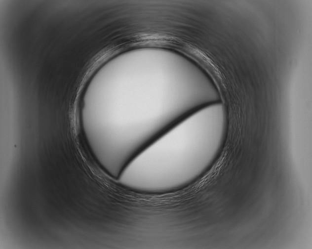 X0000098131370200804171050