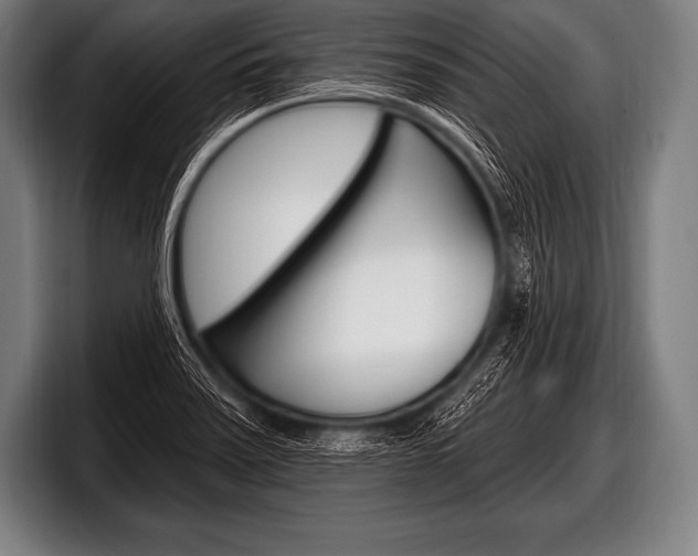 X0000098131371200804171050